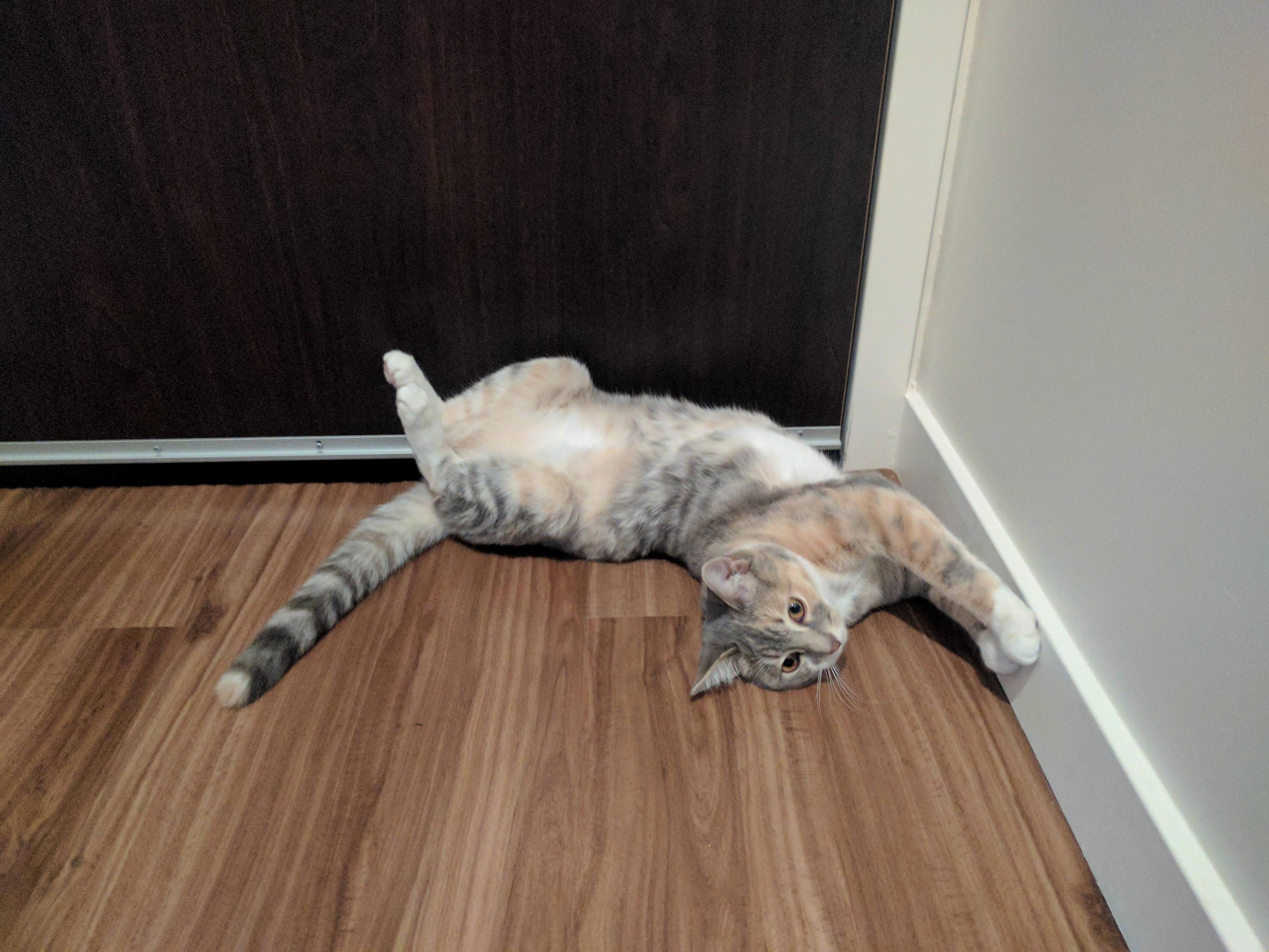 Every Morning When Im Doing Up My Shoes to Go to Work