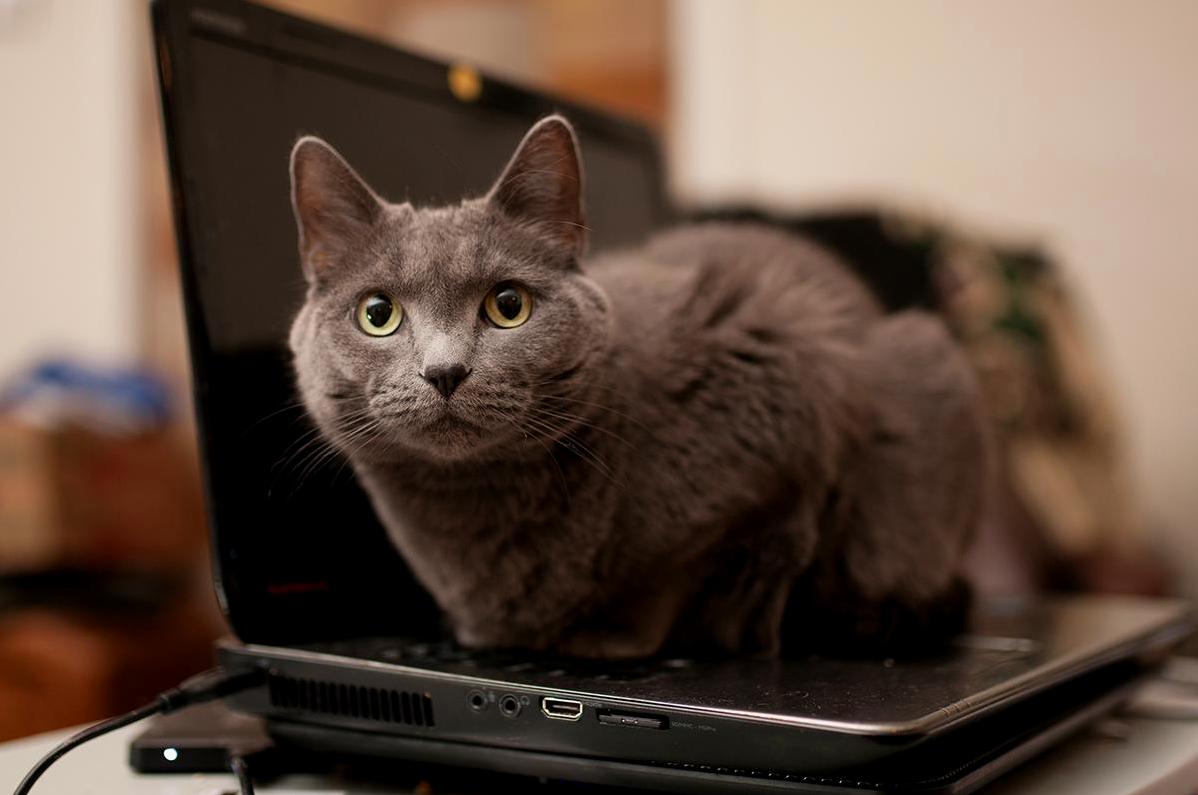 Every Time I Walk Away from My Computer.