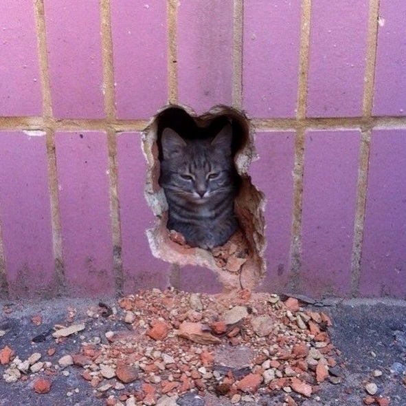 Fear Me Humans