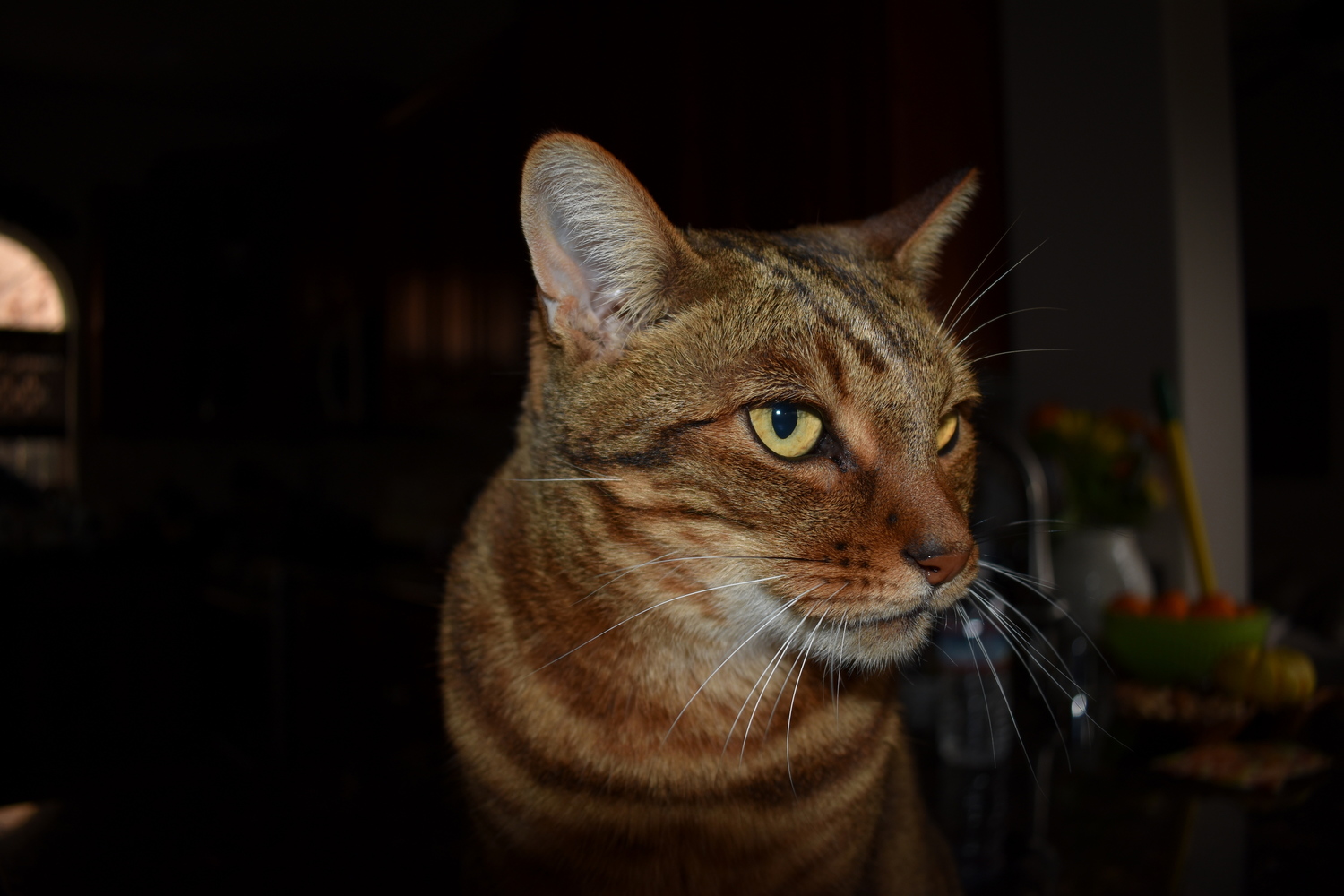 Finally Decided on Which Camera I Wanted This Was the First Shot I Took