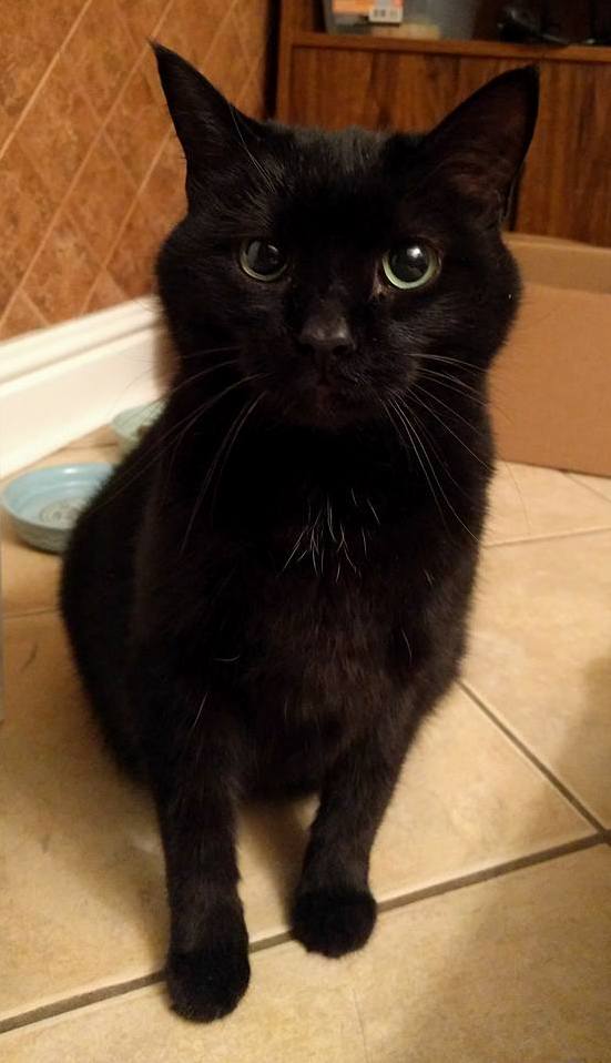 Finally Got a Good Quality Shot of My New Old Lady. Everyone Meet Aeris.