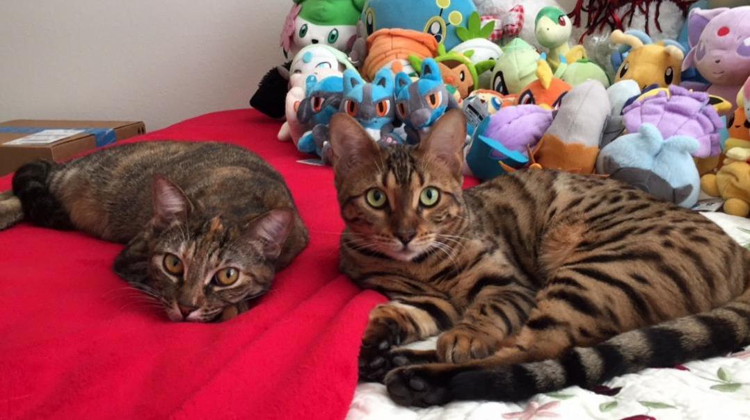 Finally Got Both of Them Looking at the Camera