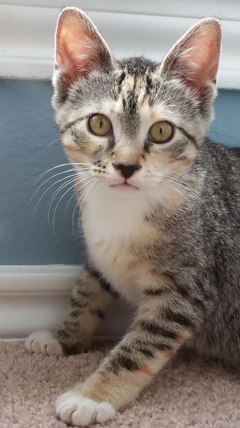 Foxy Looks Like She Was Born with Eyeliner