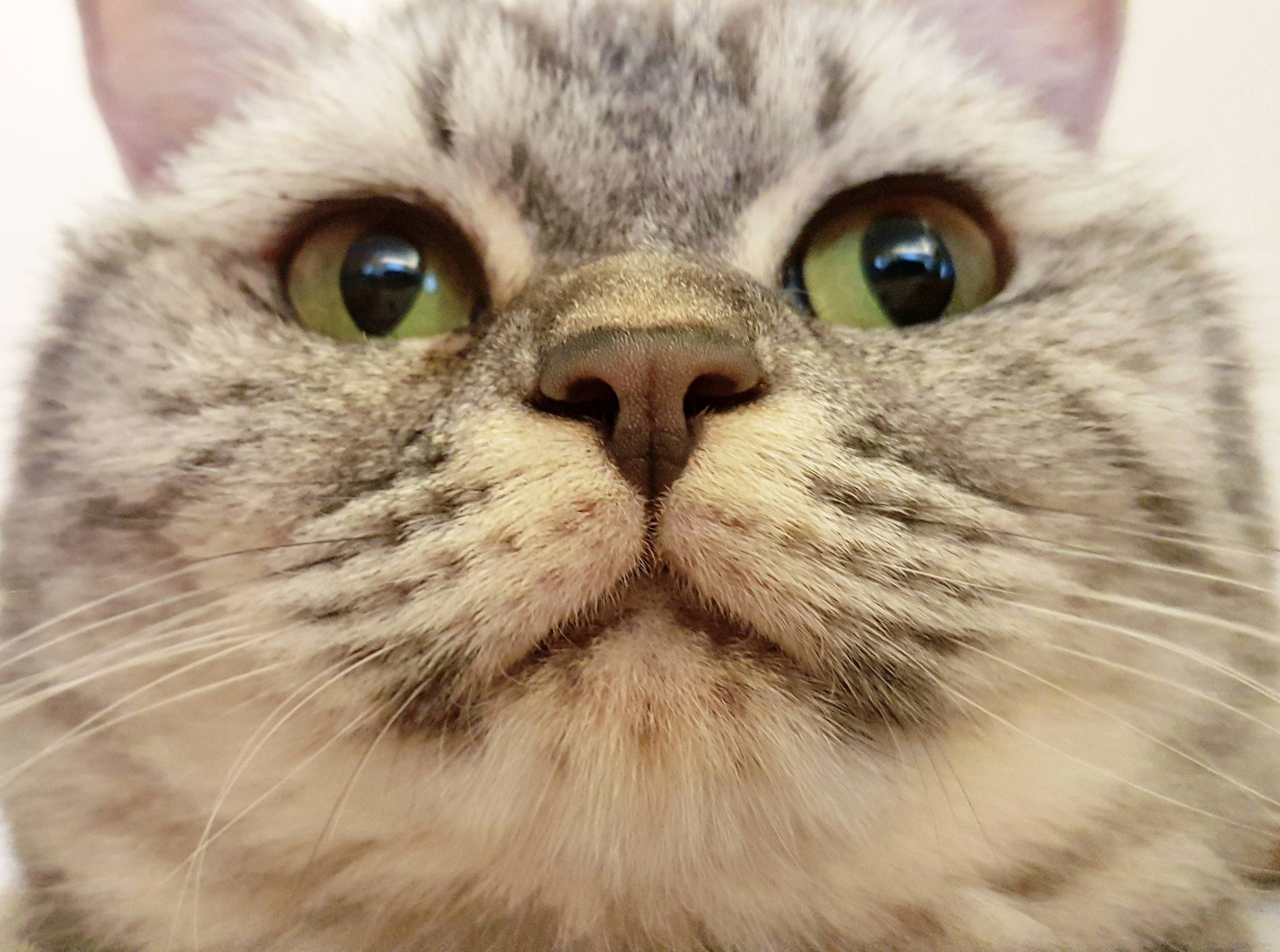 Get That Out of My Face