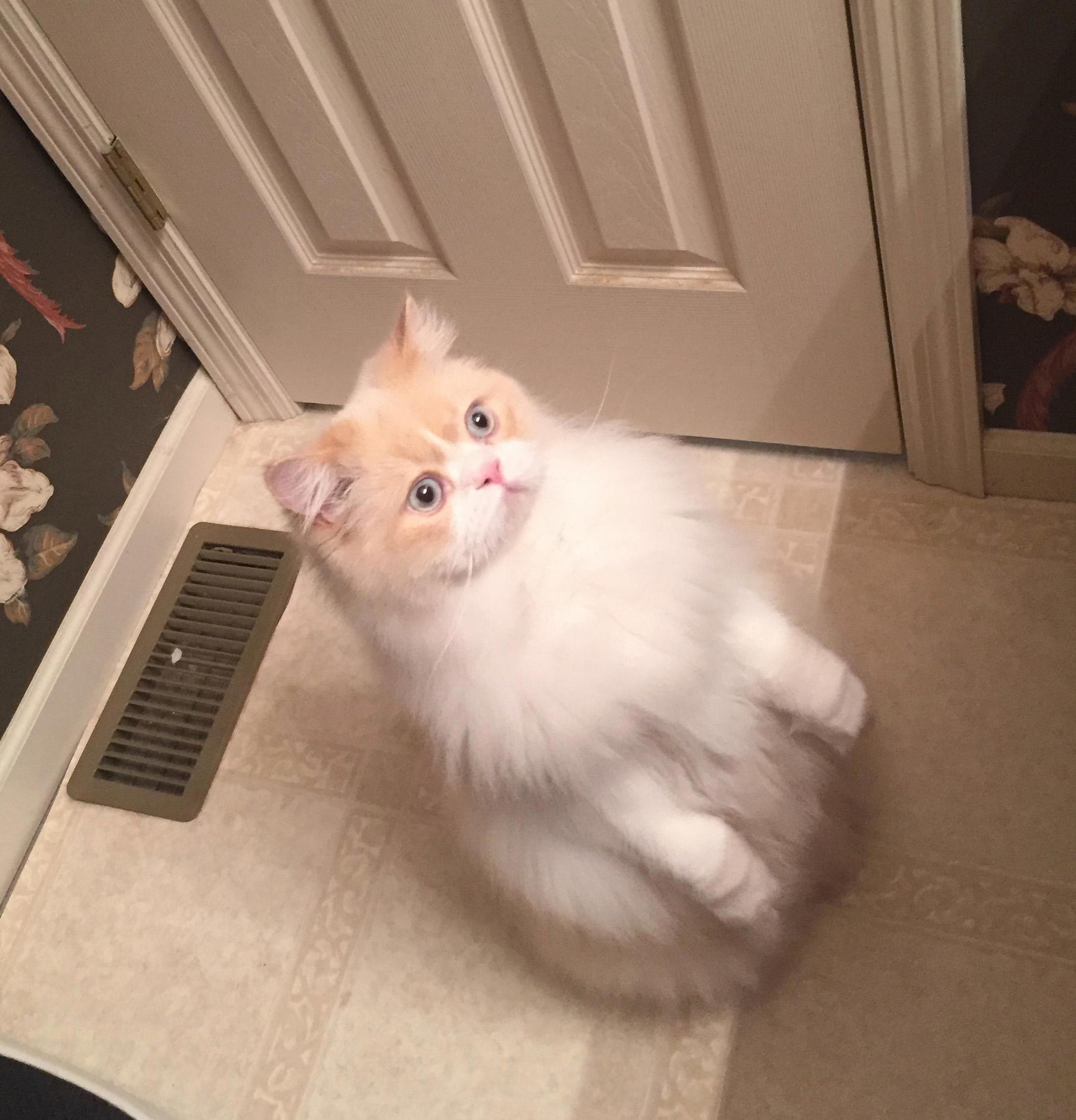Ghost Is a Stand Up Kind of Guy... Sort Of.