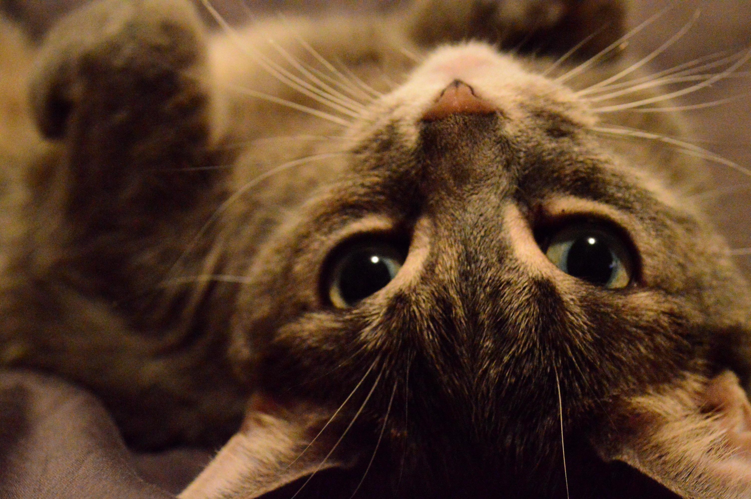 Glamour Shot of My Little Miss Consuela.