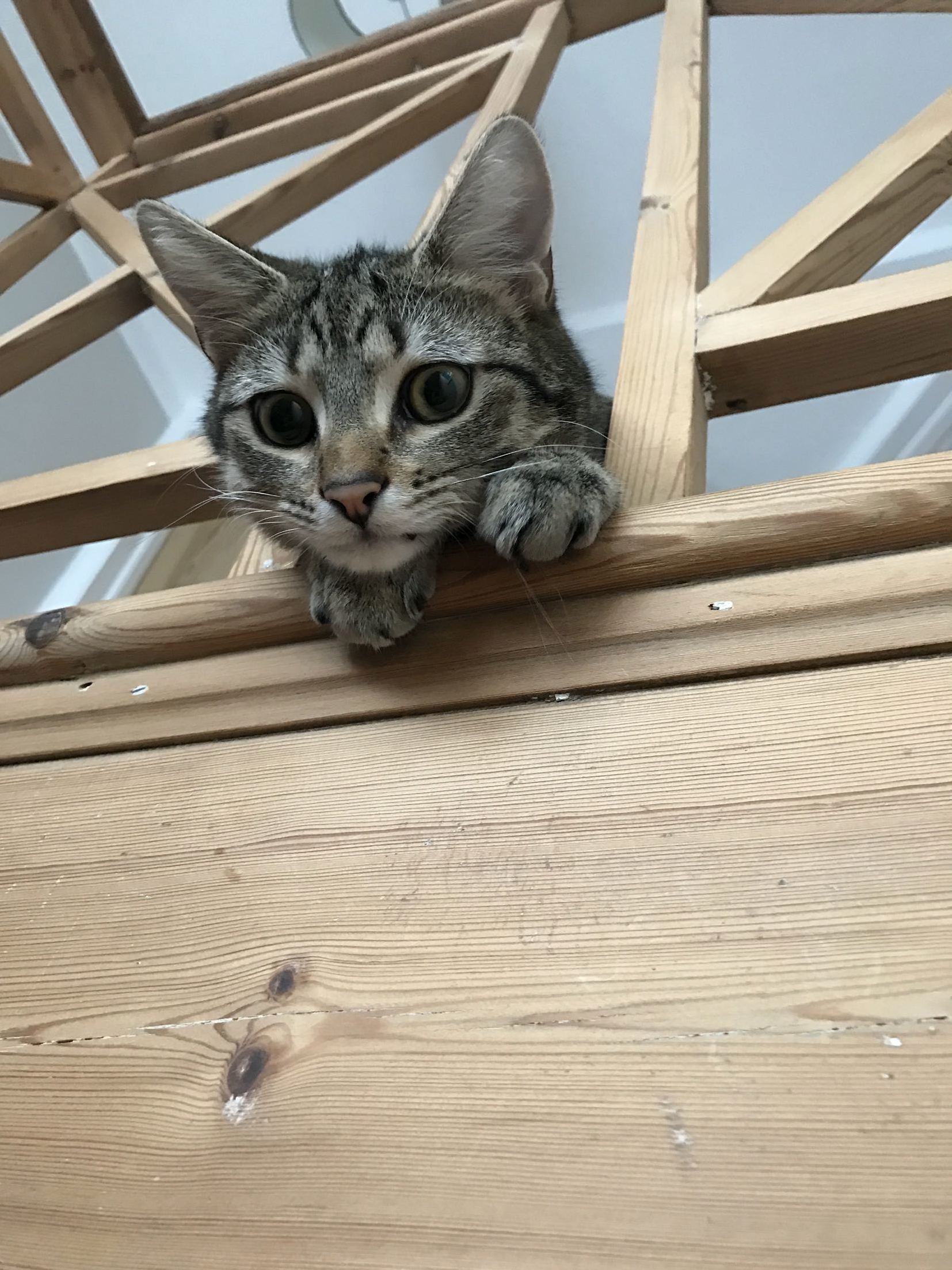 Guardian of the Stairs