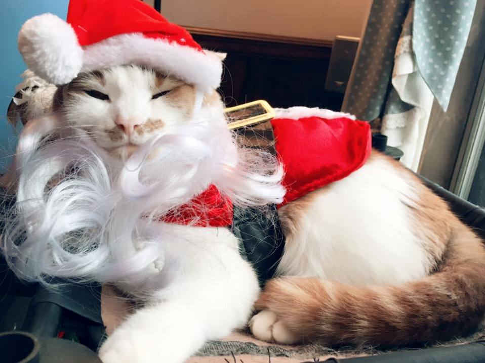 Happy Holidays from Carlos