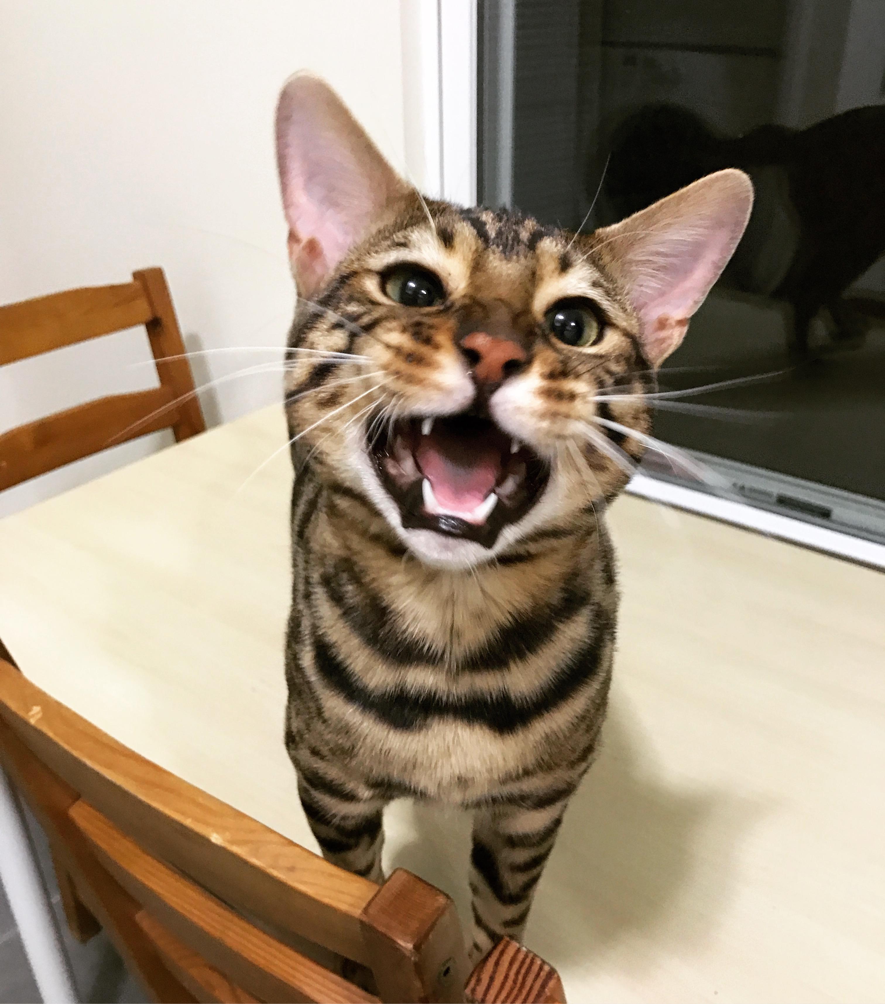 He Can Get Fussy Sometimes