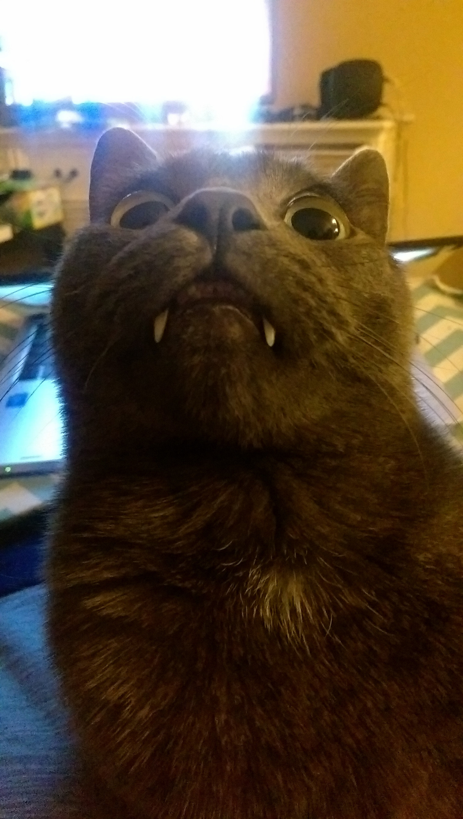 He Sees a Bug So I Should Probably Watch Out