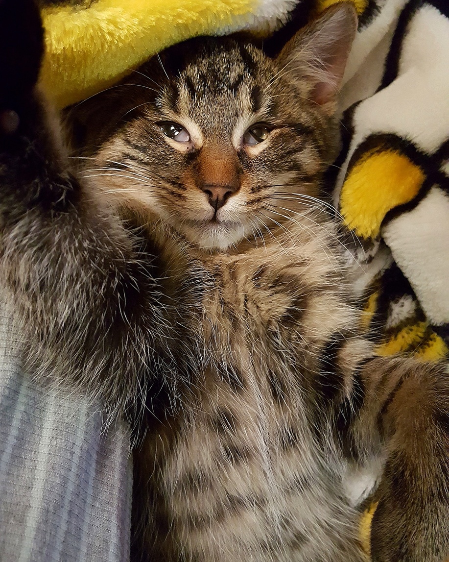 Hes Got Them Shifty Eyes.