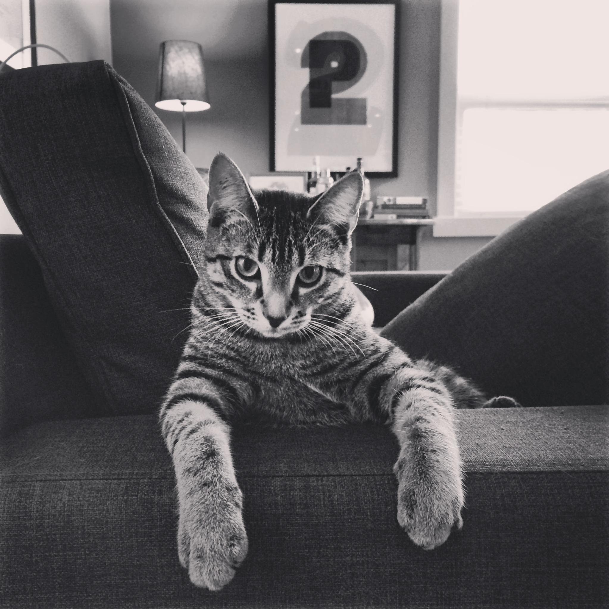 Hes Just a Little Photogenic