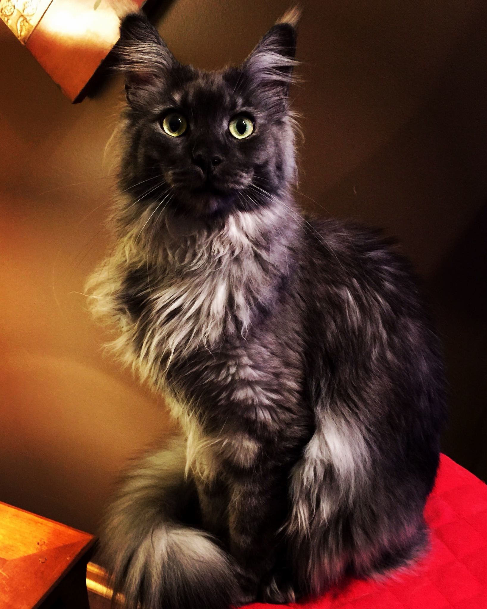 Hes Sexy and He Knows It