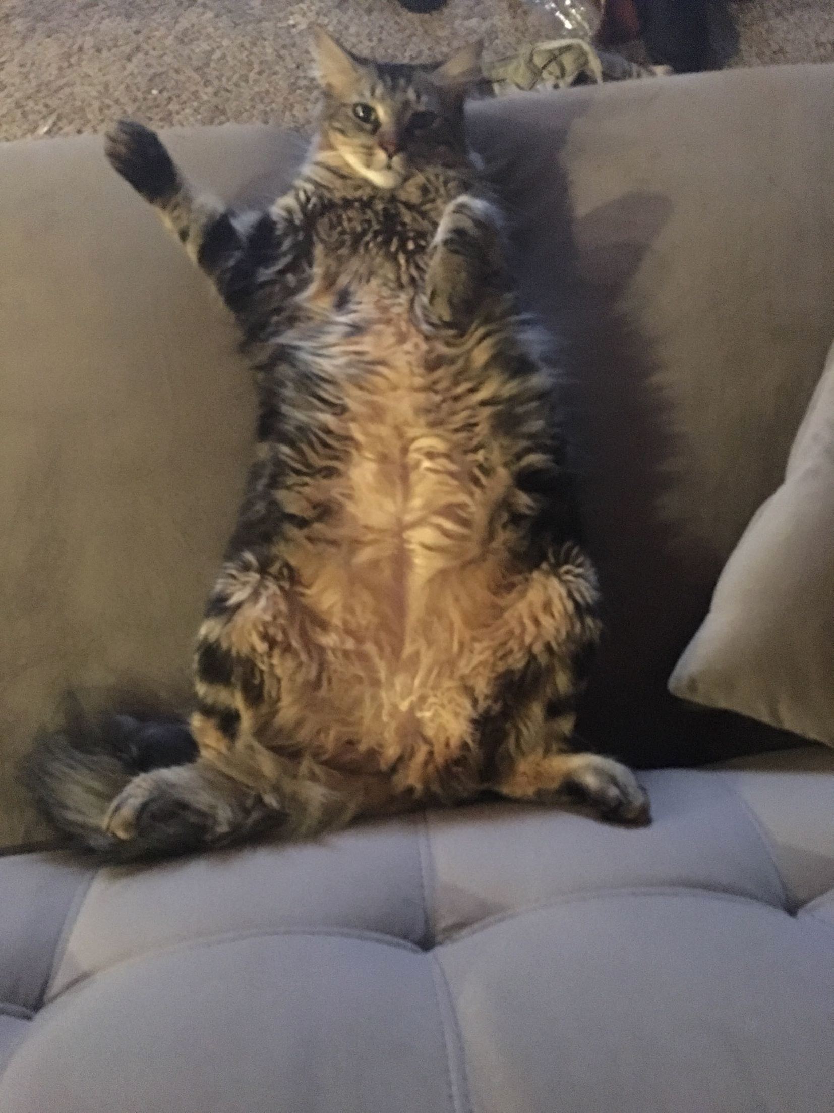 Hi