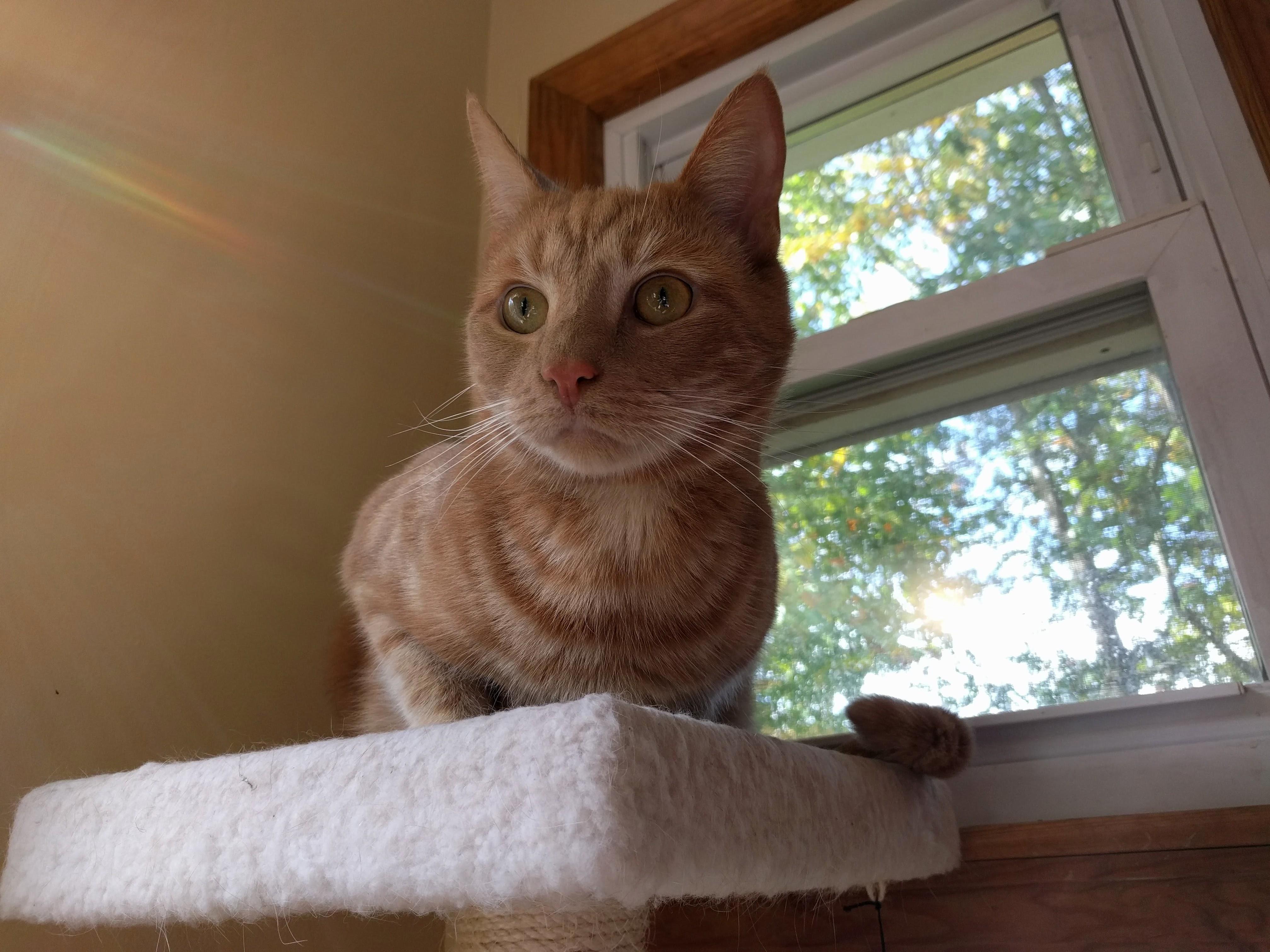 Higgs Staring Into the Beyond