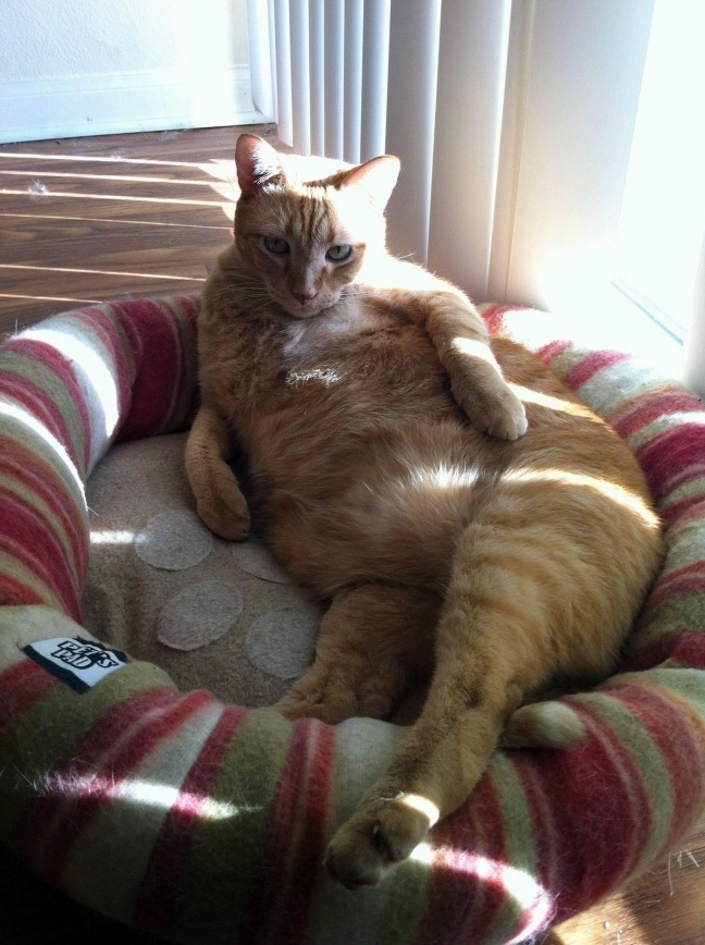 How You Doing