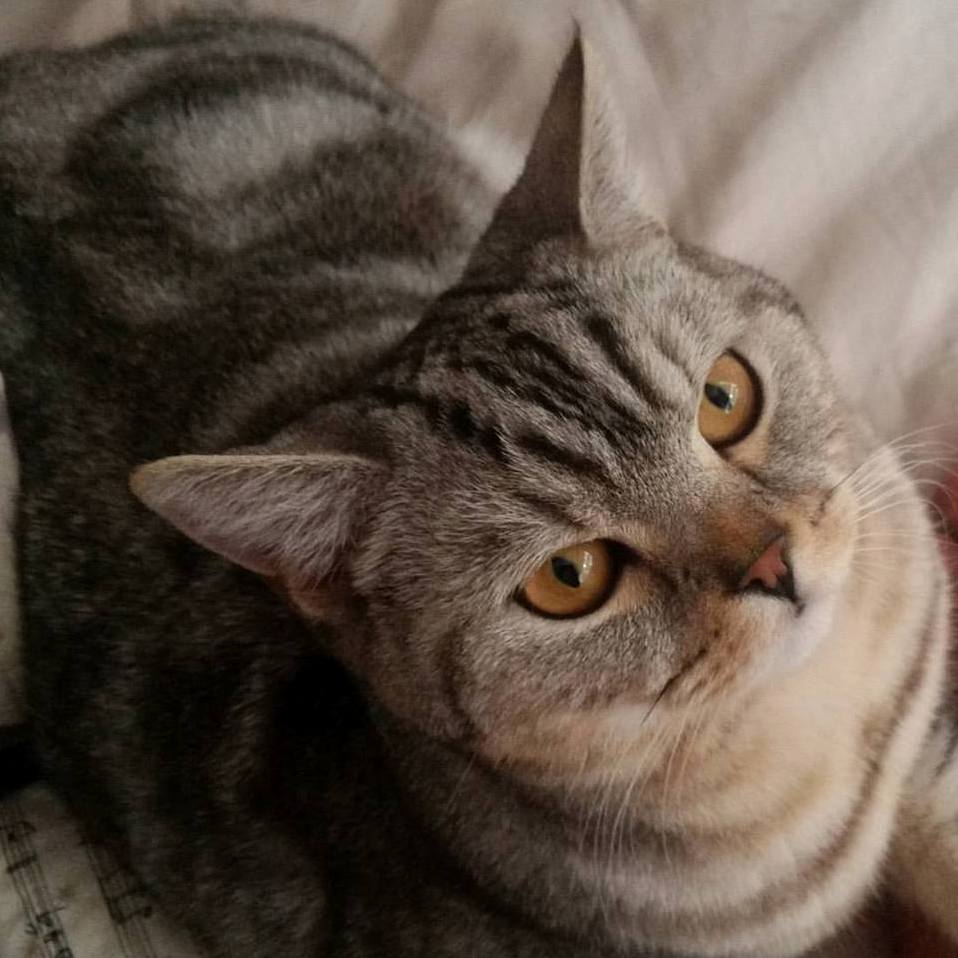 Hubble Is Almost 1yo and I Think He Know How Handsome He Is