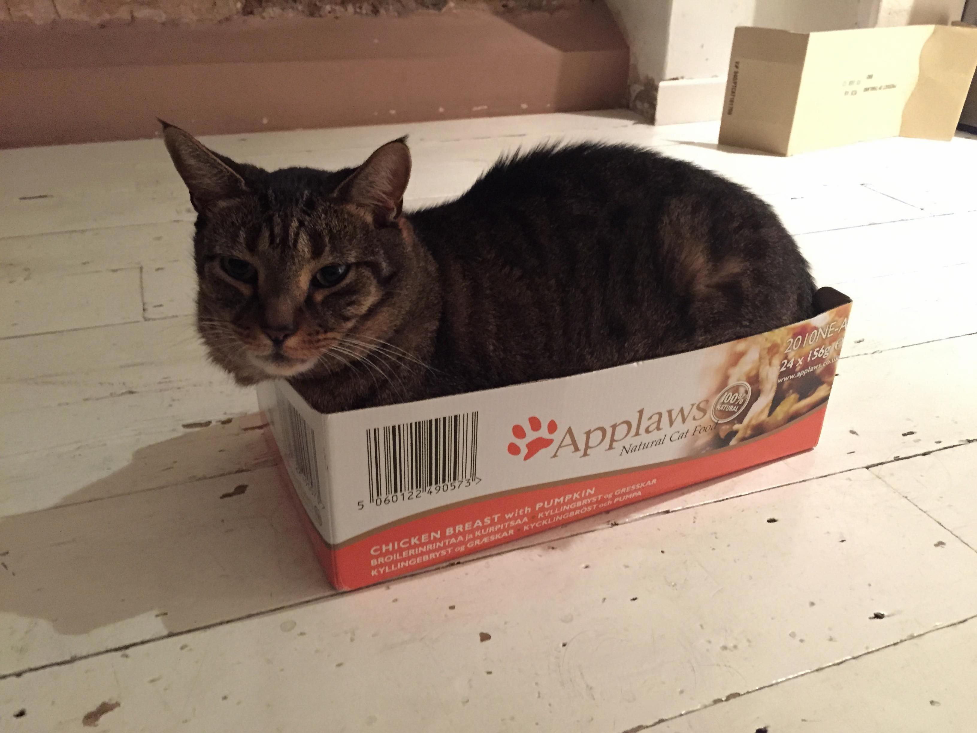 I Fits I Sit. Hold Your Applaws.