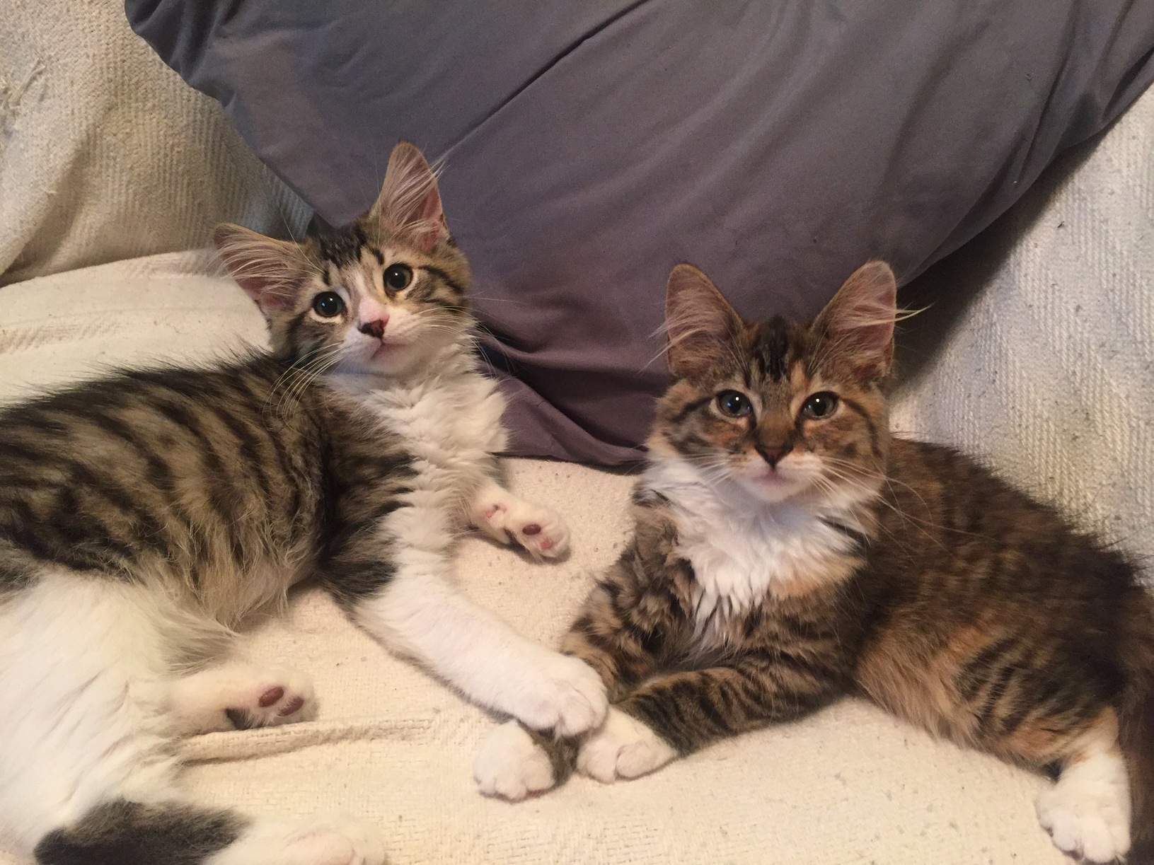 I Guess You Two Can Take My Spot.