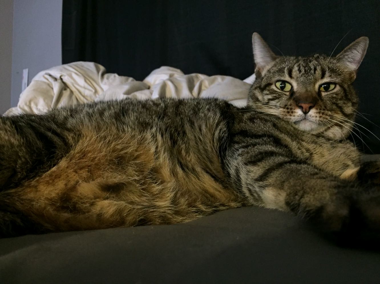 I Just Want to Shove My Face in His Belly...but Maybe Not