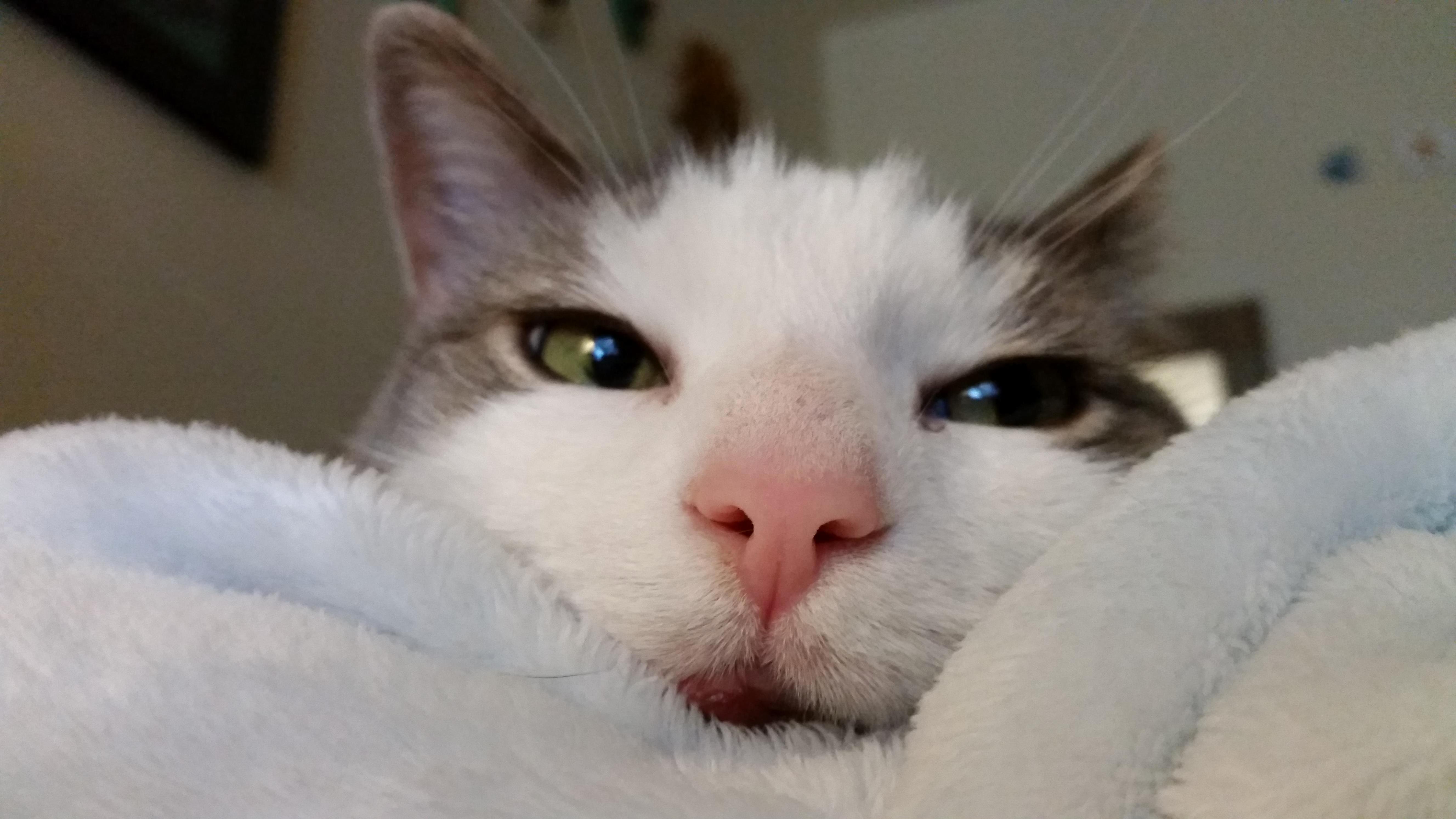 I Love His Big Nose