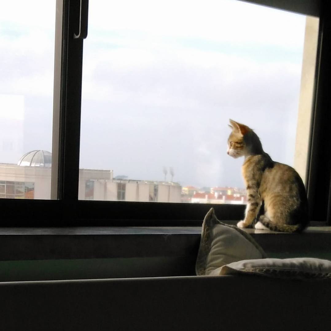 I Think Im Falling in Love. Christie Looking at the Outside World
