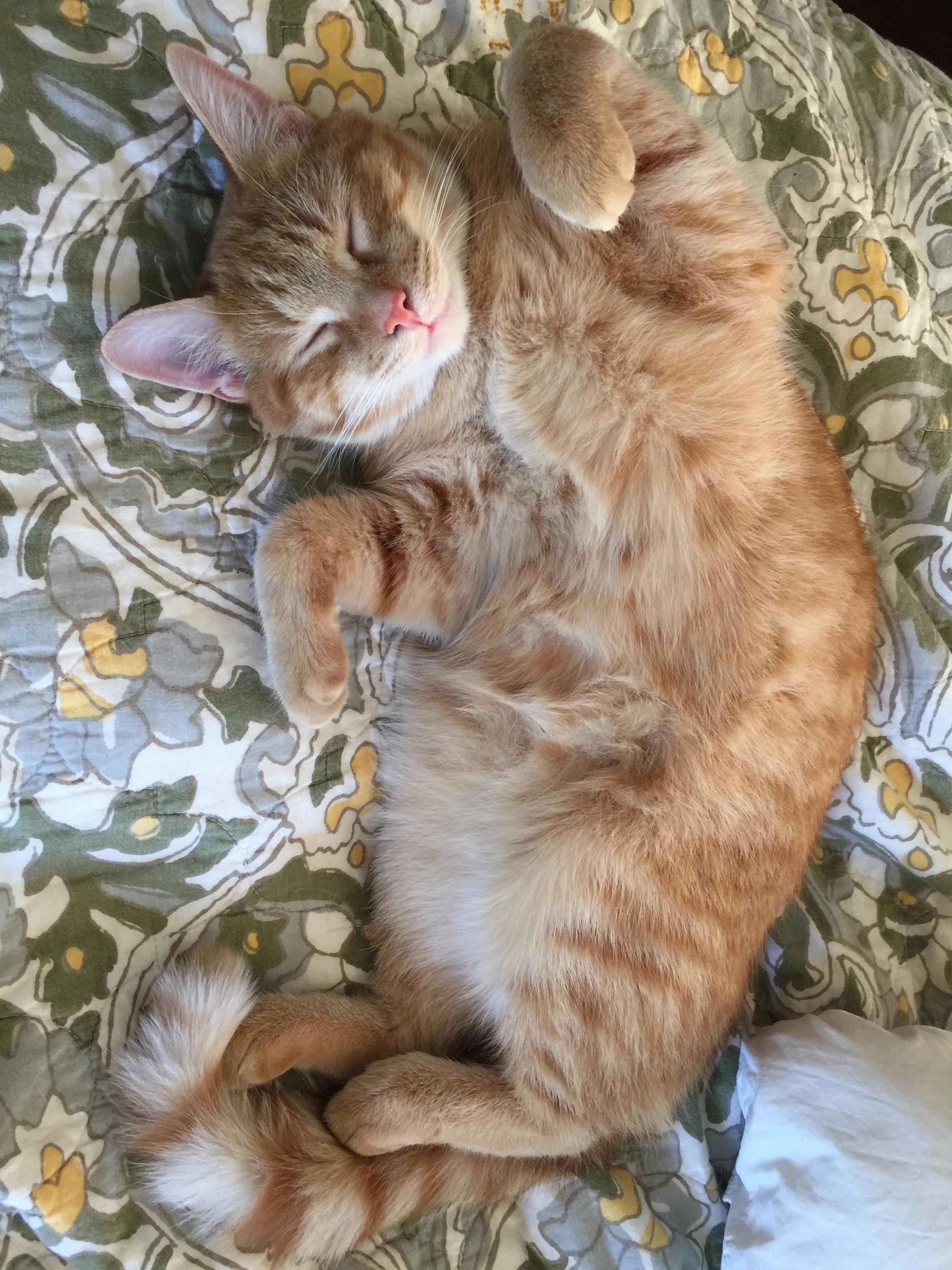 ID Like to Make the Bed but . . .