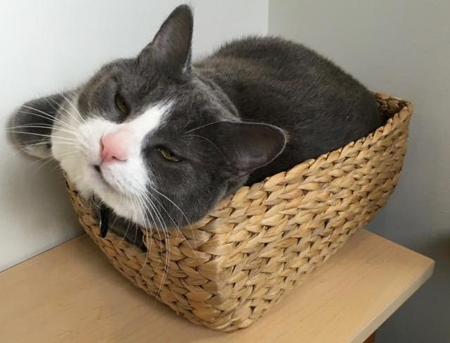 If I Fits I Sits