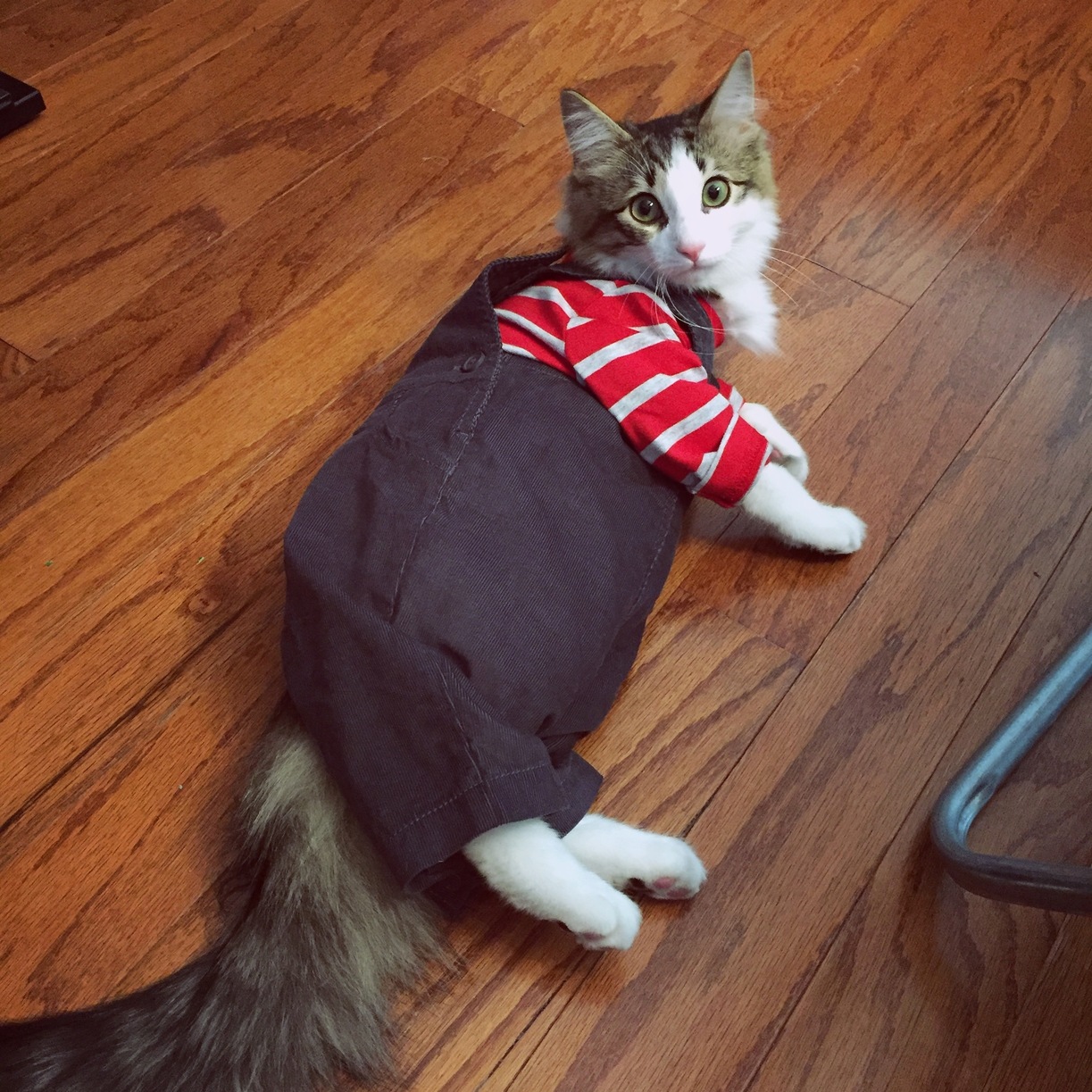Im a Terrible Mother...