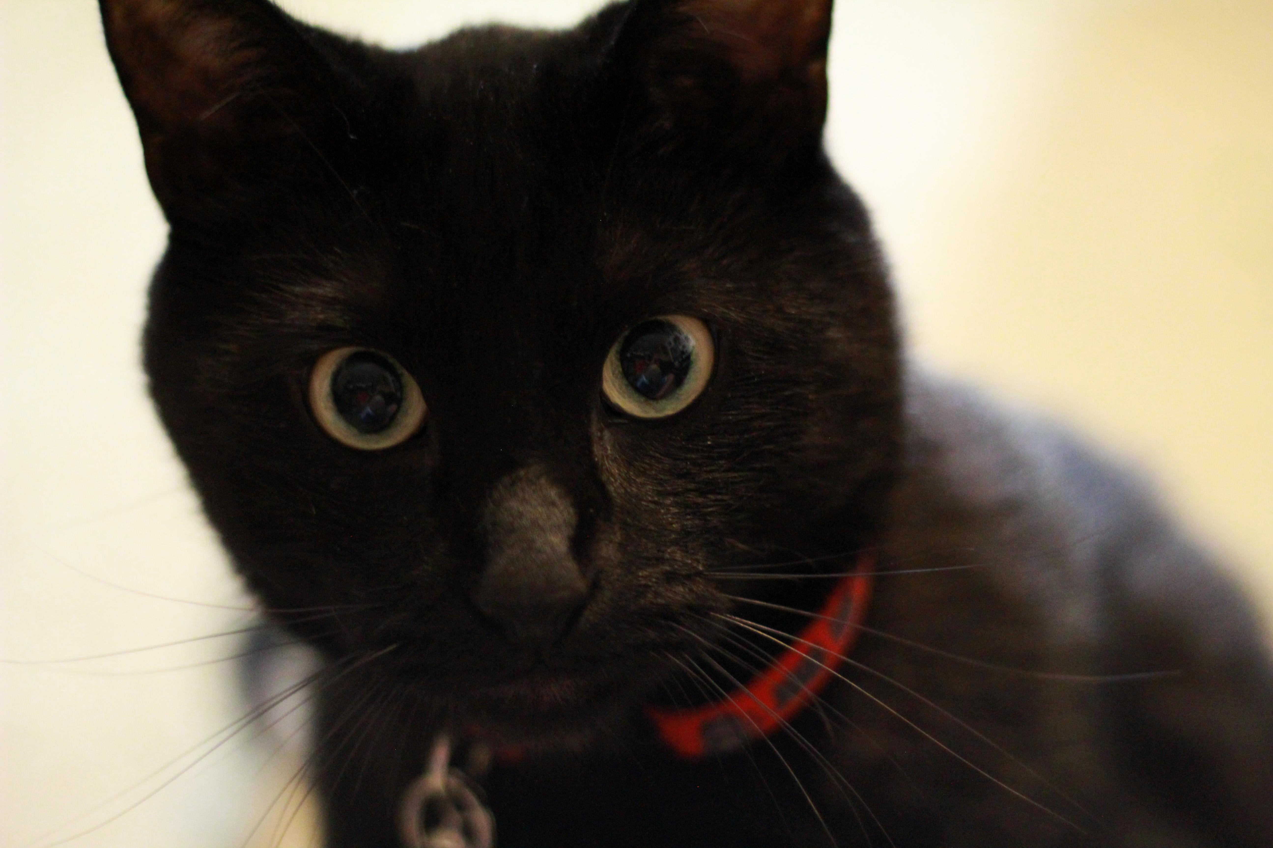 Intense Staring