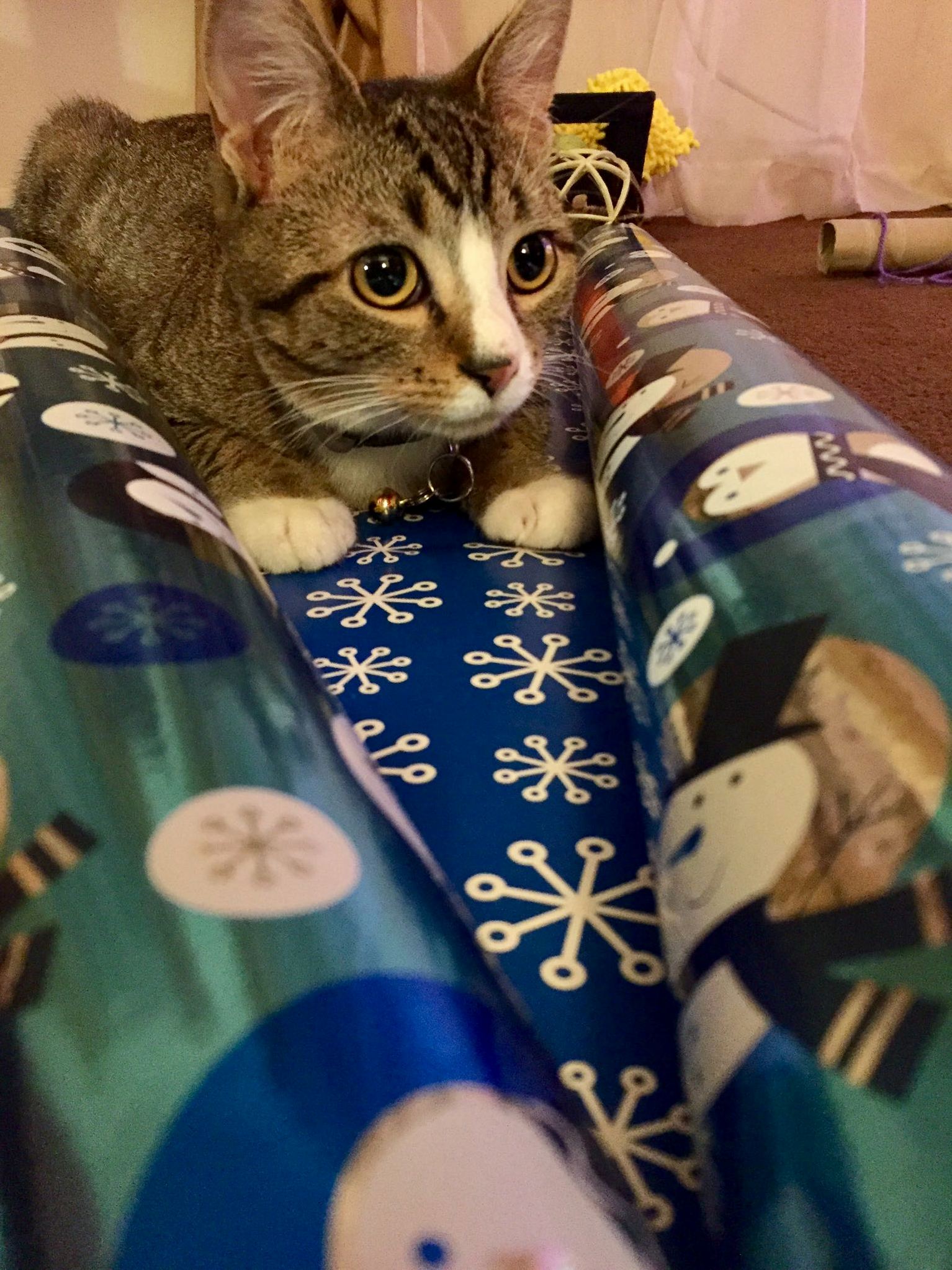 Its Christmas Time