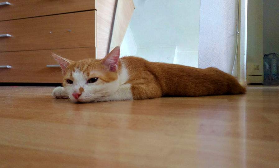 Jesus Hooman Let Me Sleep...