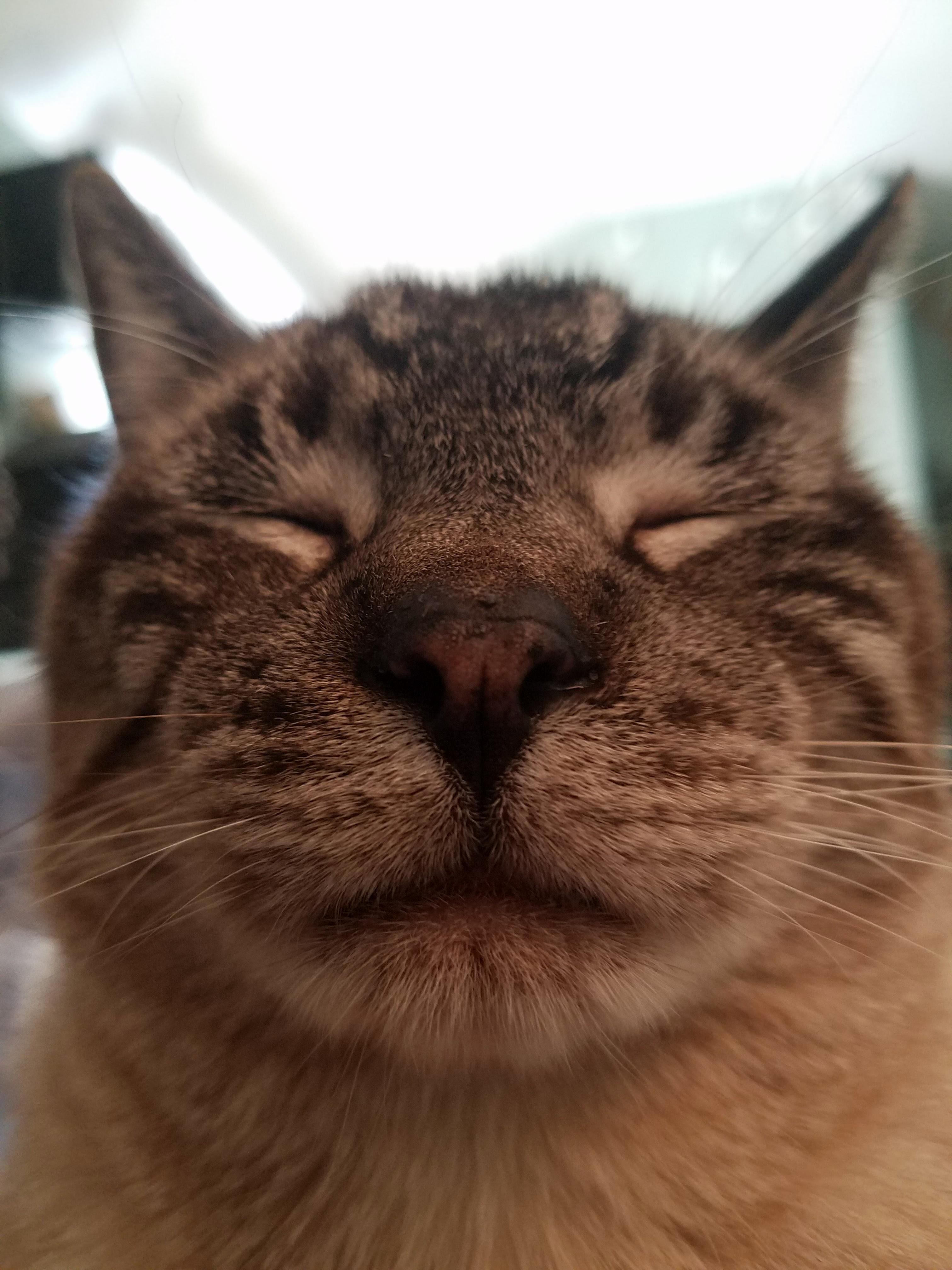 Joe Looking Very Symmetrical