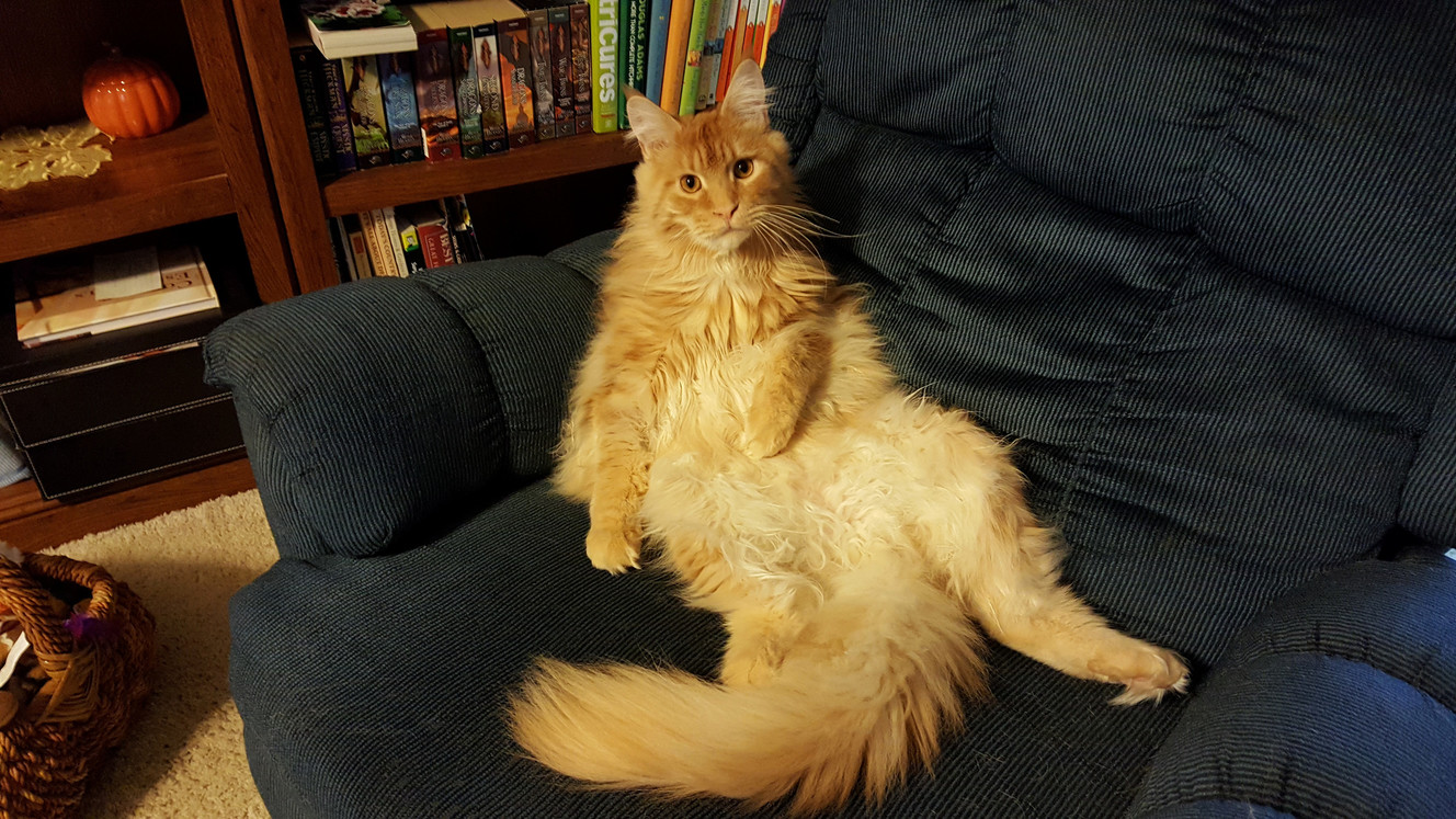 Just Chillin