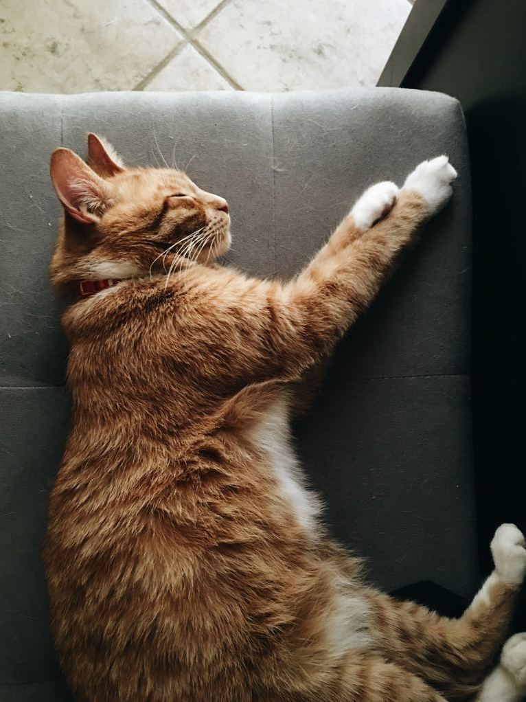 Kenny Had a Lazy Day Today