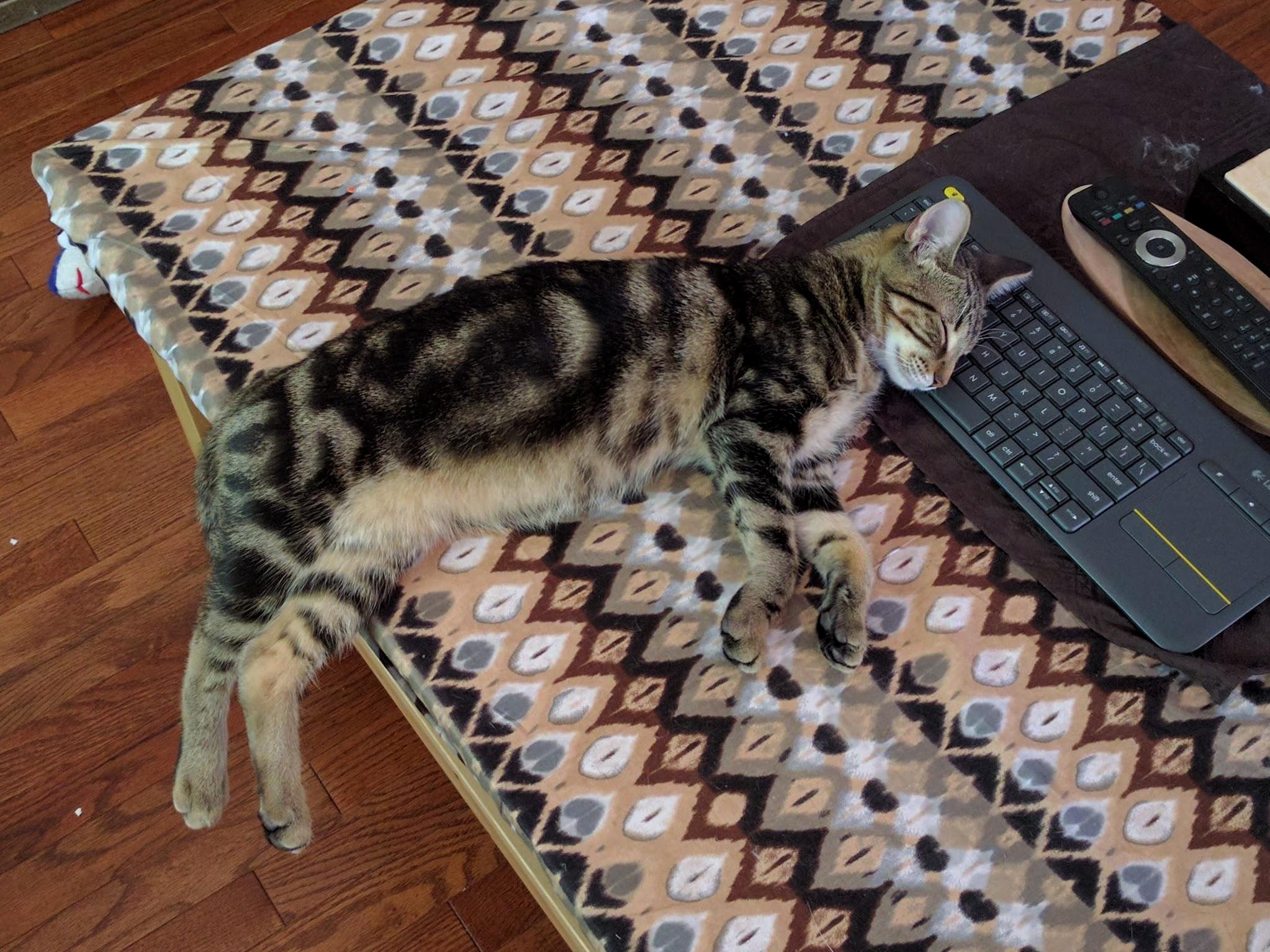 Keyboard Pillow Is the Best.