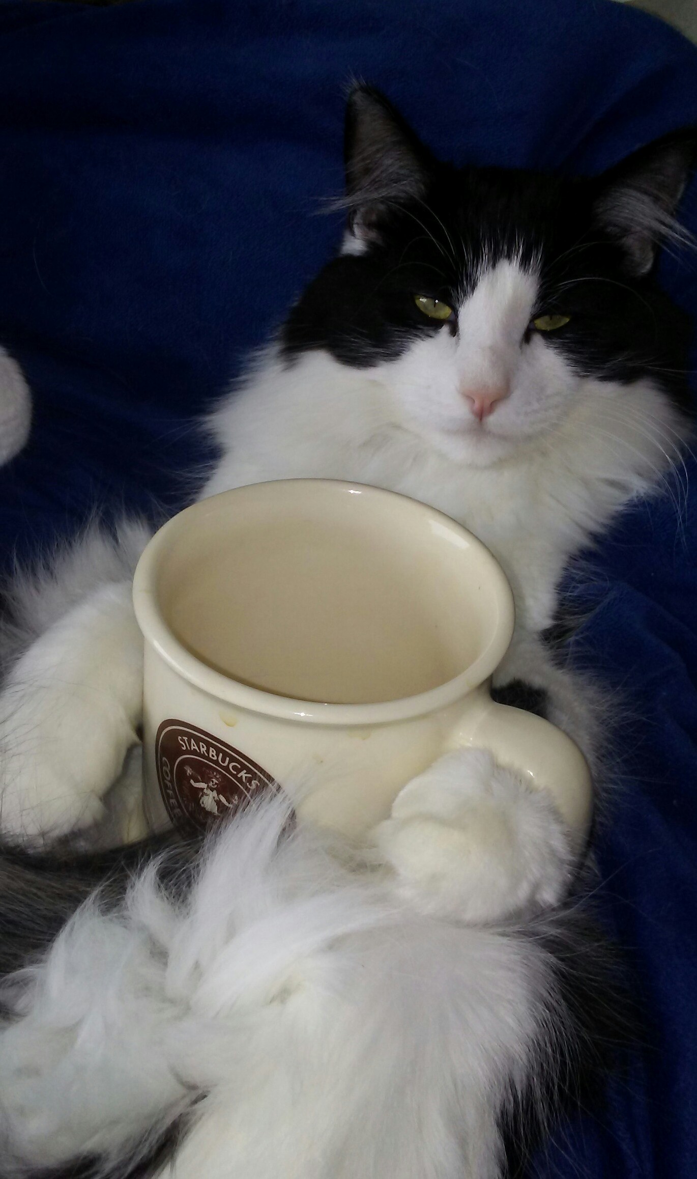 Link Needs More Coffee.