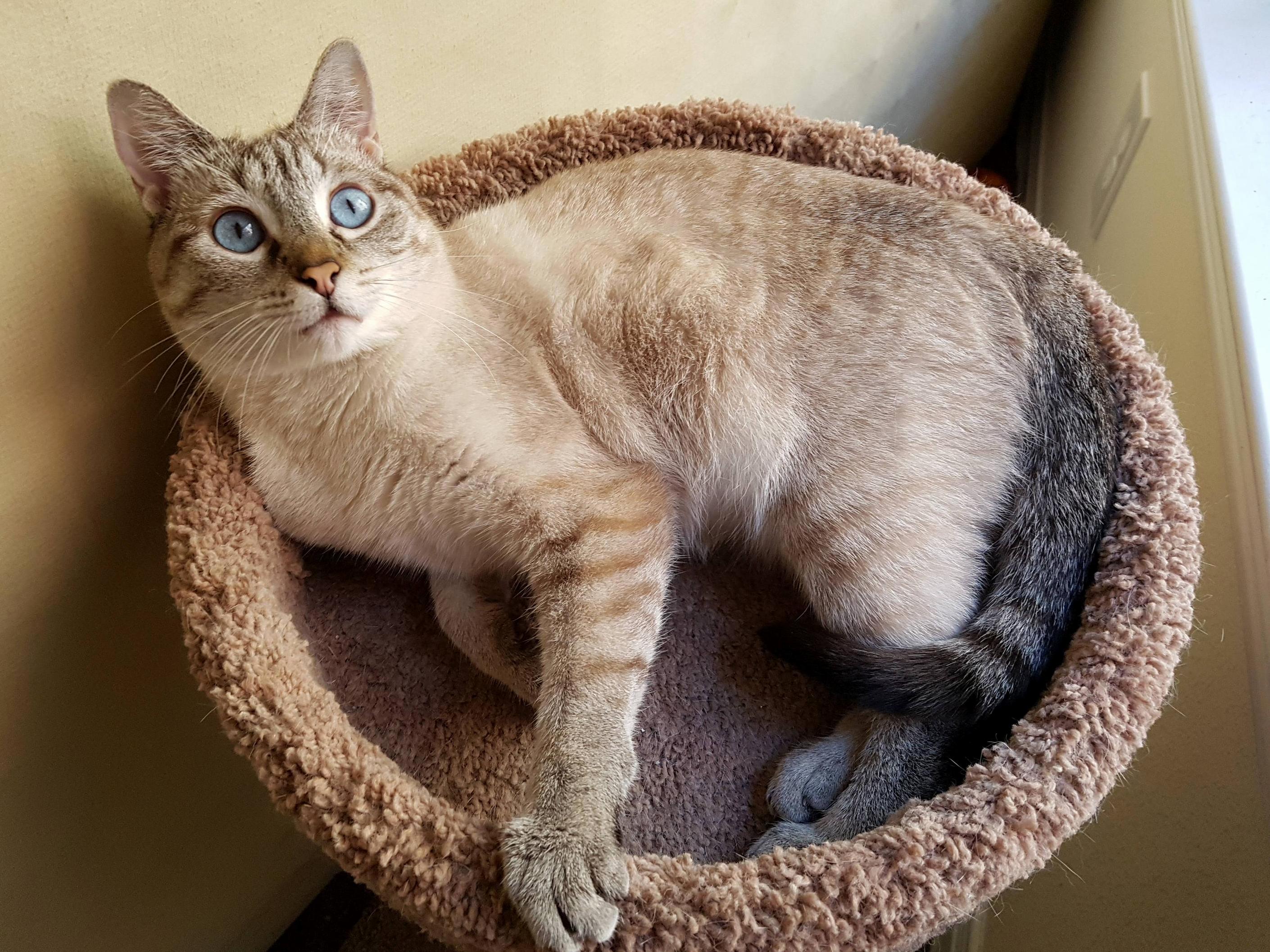 Liz Is One Year Old Today