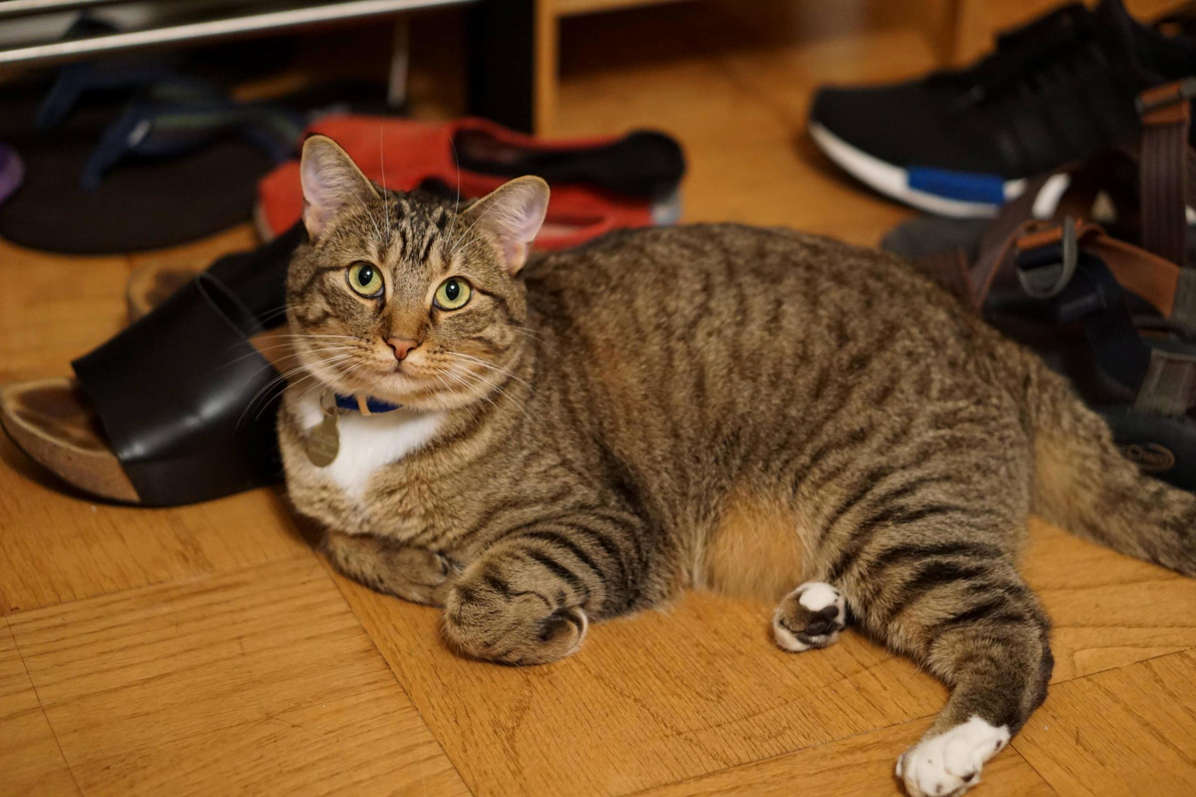 Louise Likes to Fold Her Arms Like This When She Chills on the Floor