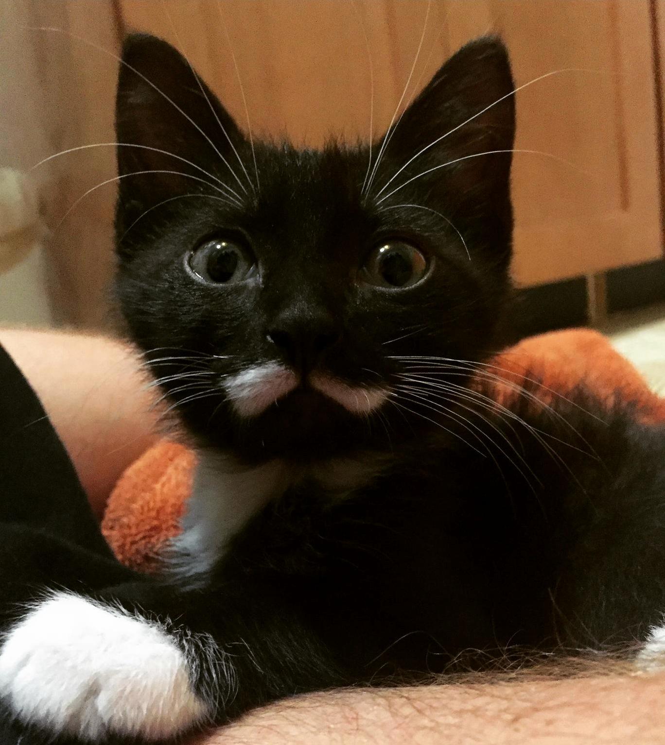 Marlin Joined Our Family Today