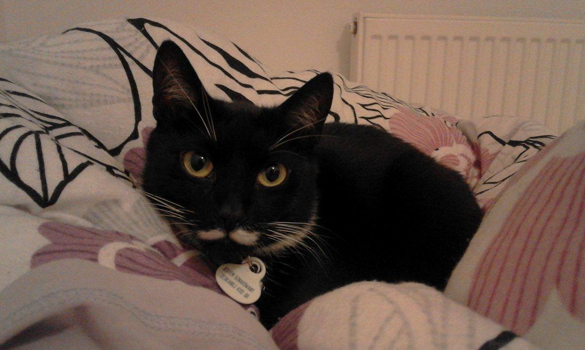 Marsza Ek Is Getting Comfy Before Bedtime