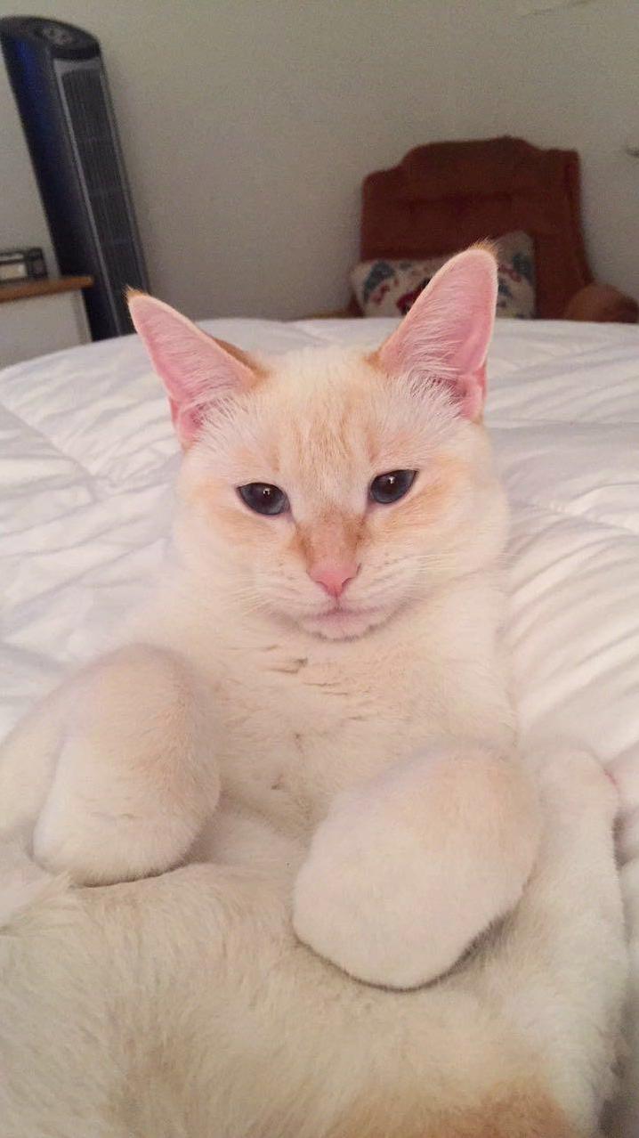 Maya Uses Her Looks to Get My Attention