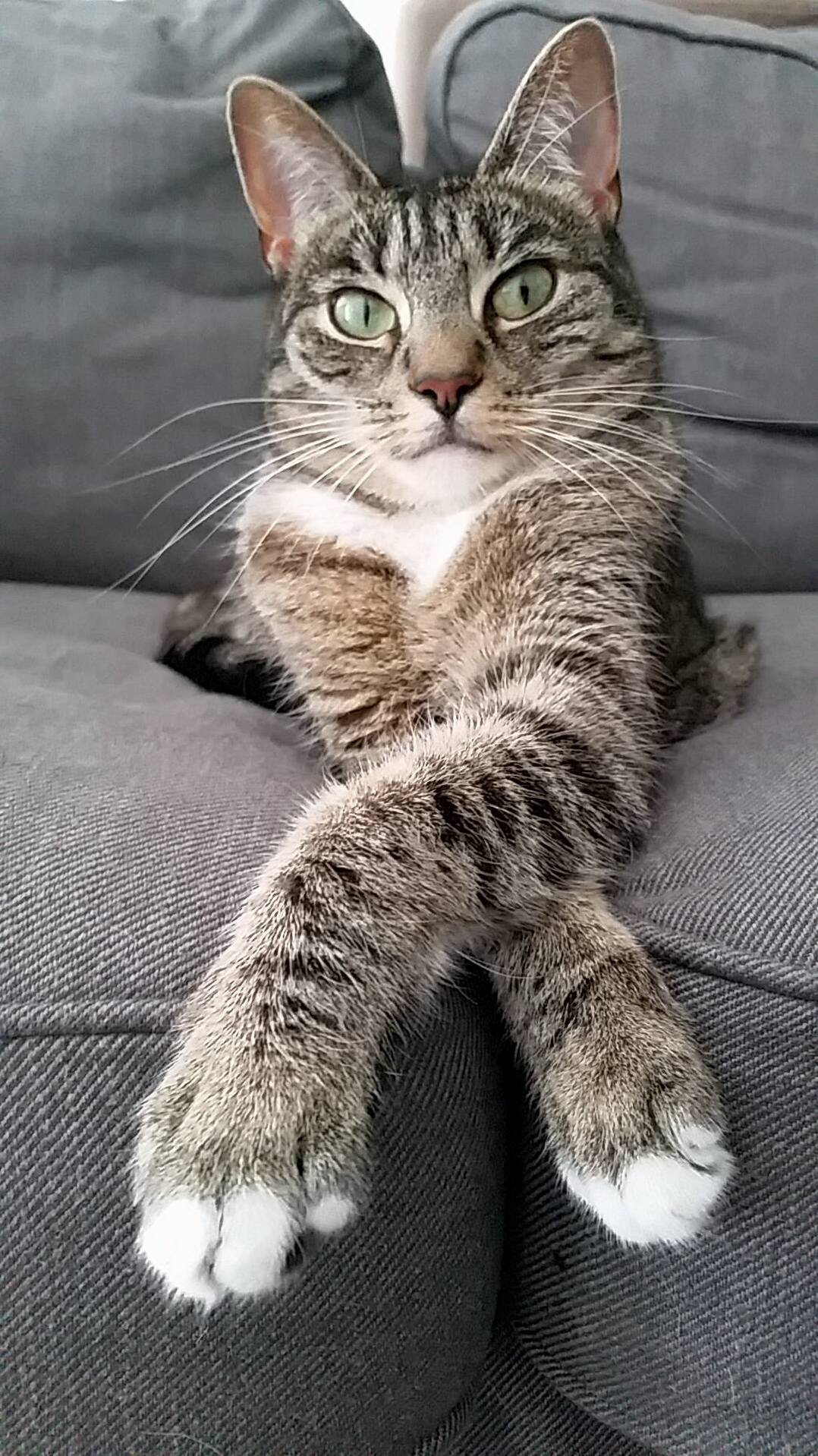 Meet Chihiro