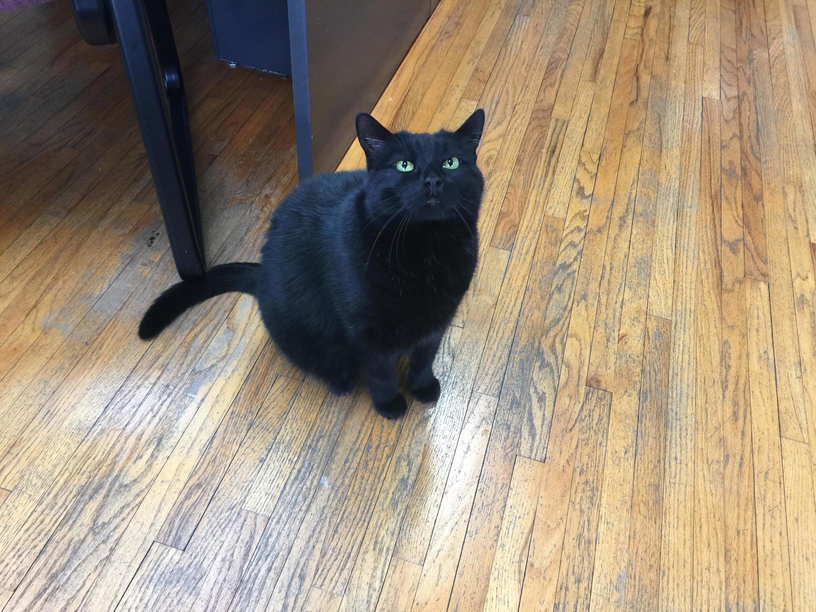 Met This Handsome Gentleman at an Insurance Office Last Week