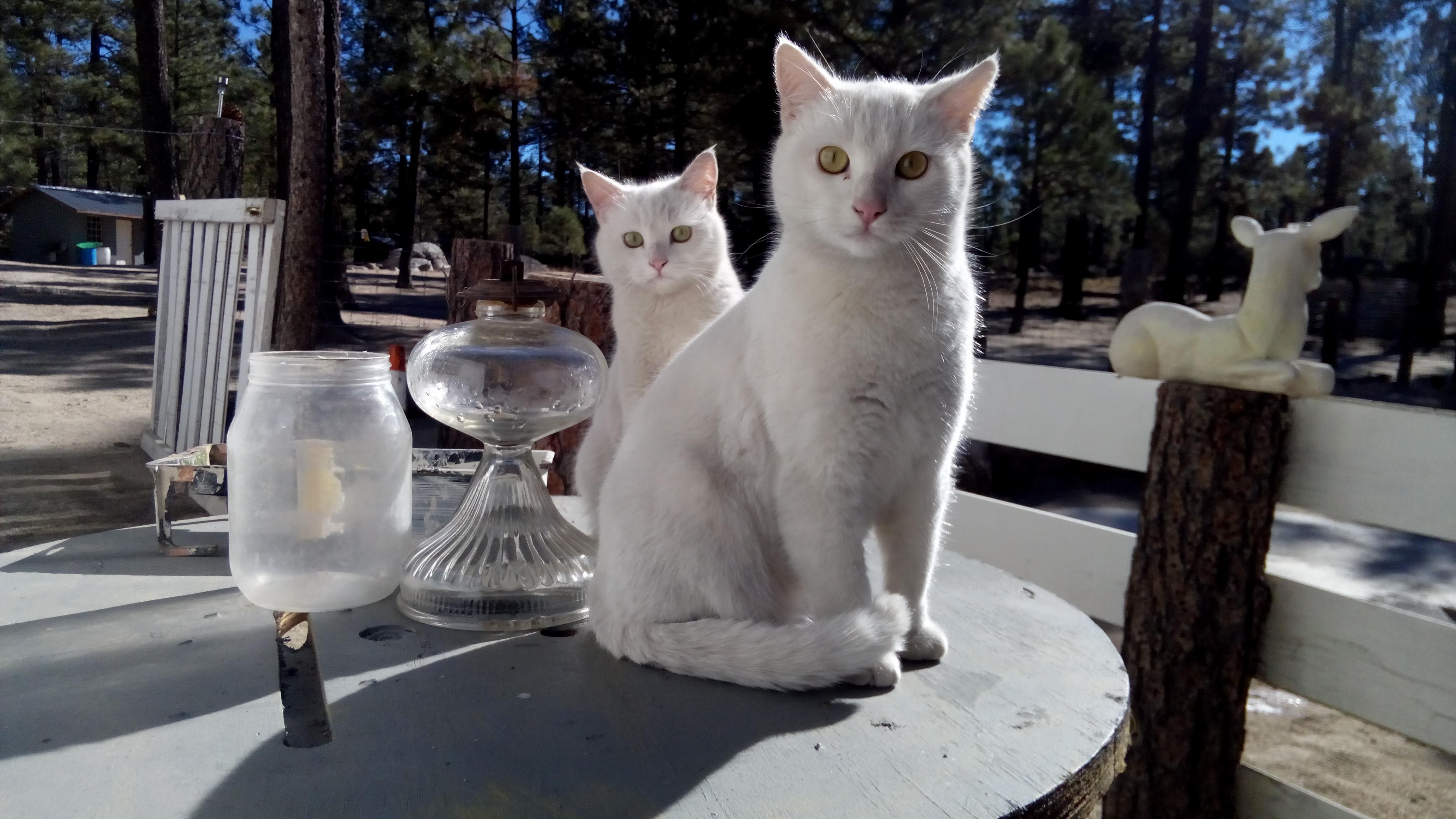 Met This Wonderful Couple on My Camping Site