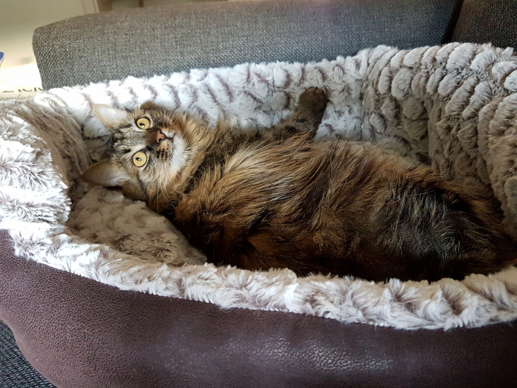 Mmmyes...