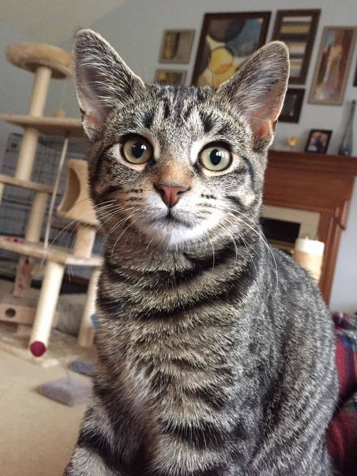 Moved Out of My Parents House Came Back to Find I Have Been Replaced