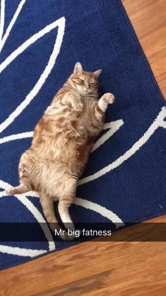 Mr. Big Fatness