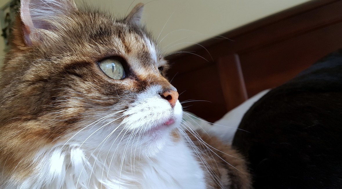 My Beautiful Girl Turns 14 Today