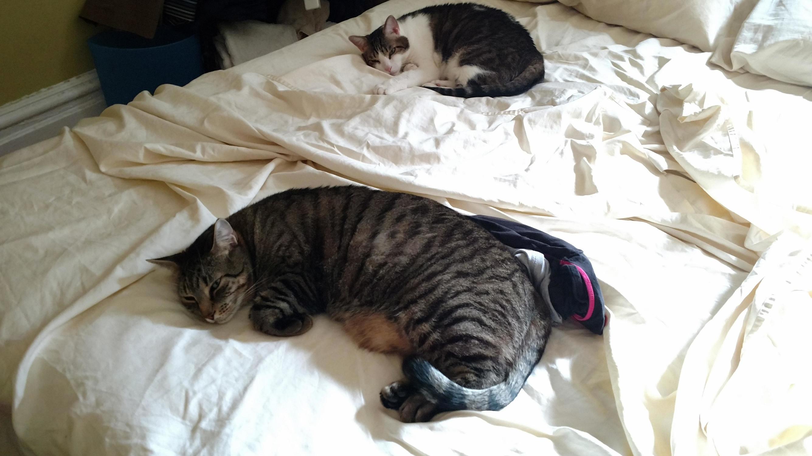 My Big One Little One. They Hate Each Other.